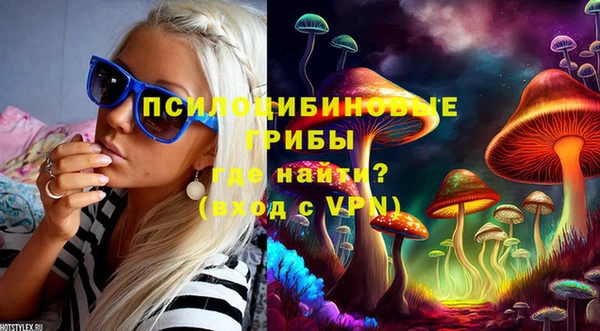 стаф Вязники