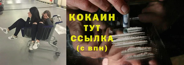 спиды Вяземский