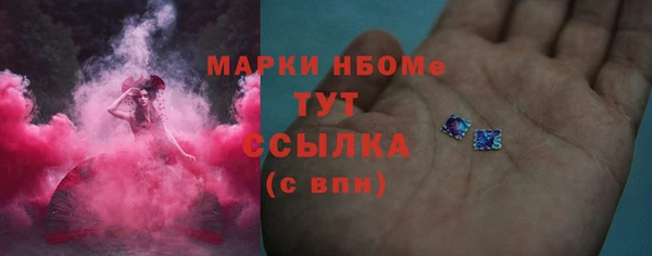 спиды Вяземский