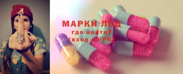 спиды Вяземский