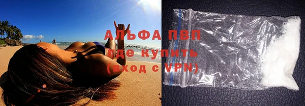 стаф Вязники