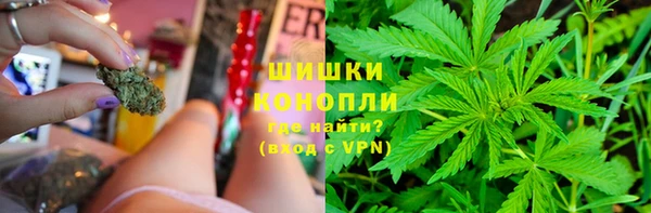 стаф Вязники