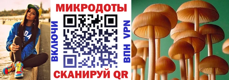 Галлюциногенные грибы Magic Shrooms Королёв