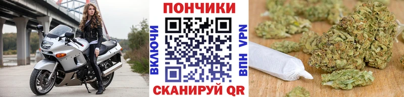 наркошоп  Королёв  kraken tor  Шишки марихуана ГИДРОПОН 